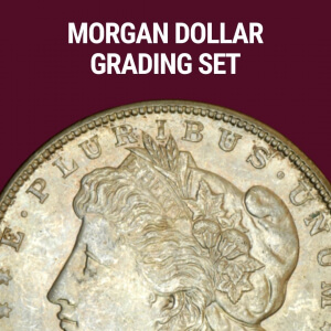 morgan dollar grading set ncw 2021
