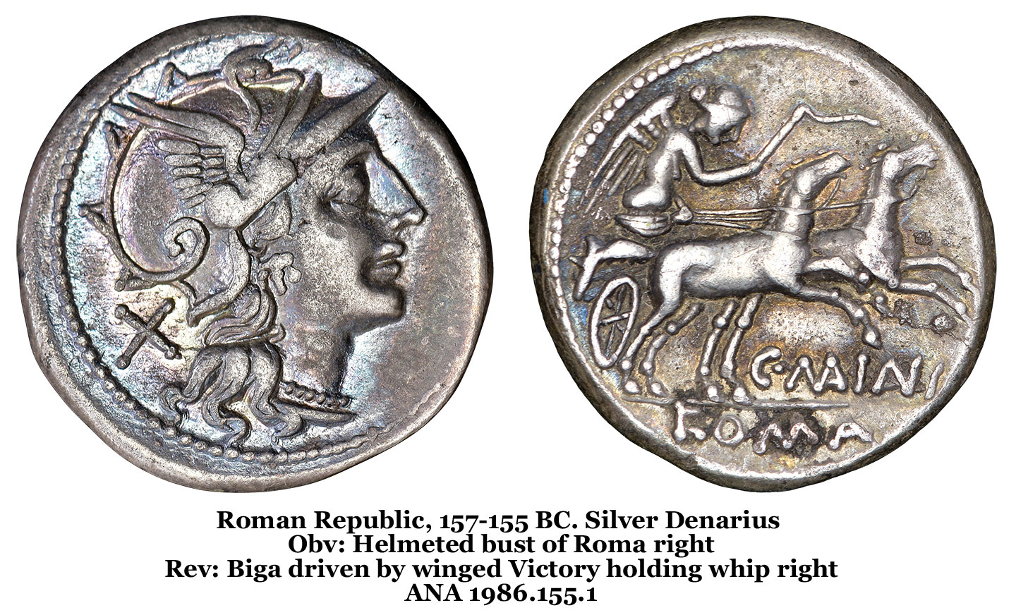 Roman Coinage - American Numismatic Association : American Numismatic ...