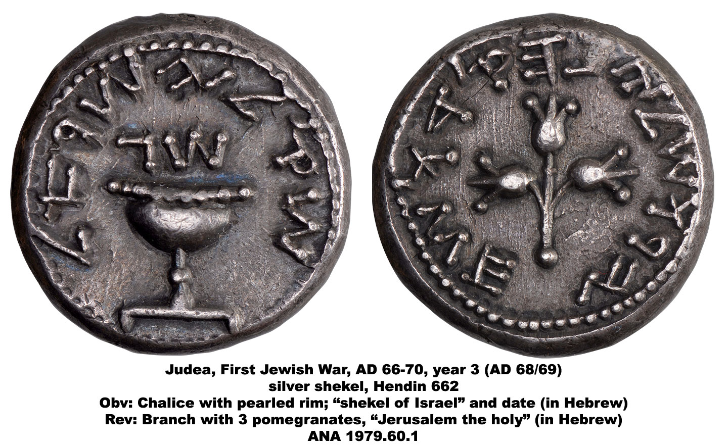 Ancient Coinage of the Holy Land - American Numismatic Association ...